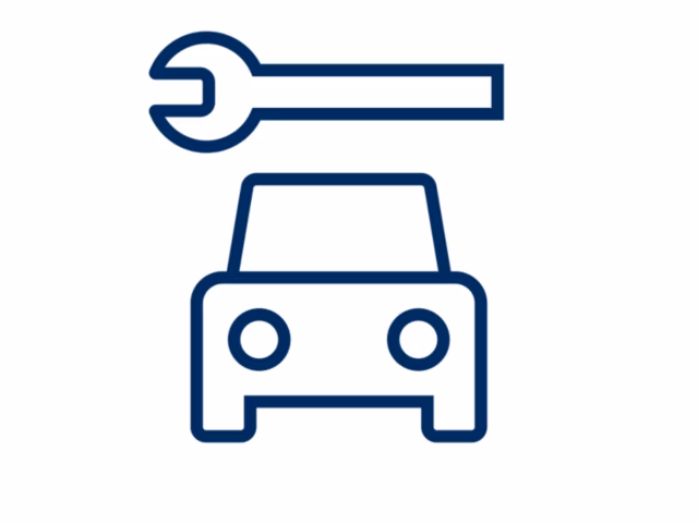 Profesionální péče